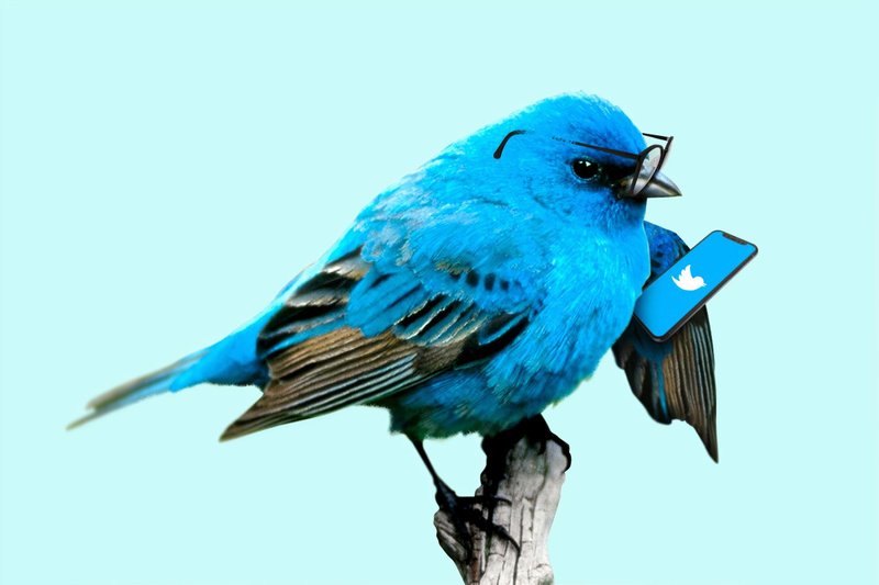 targeting-features-twitter