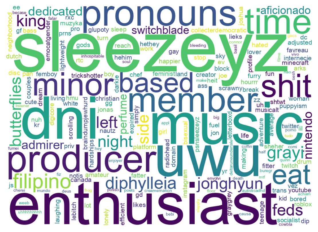 Wordcloud of bios