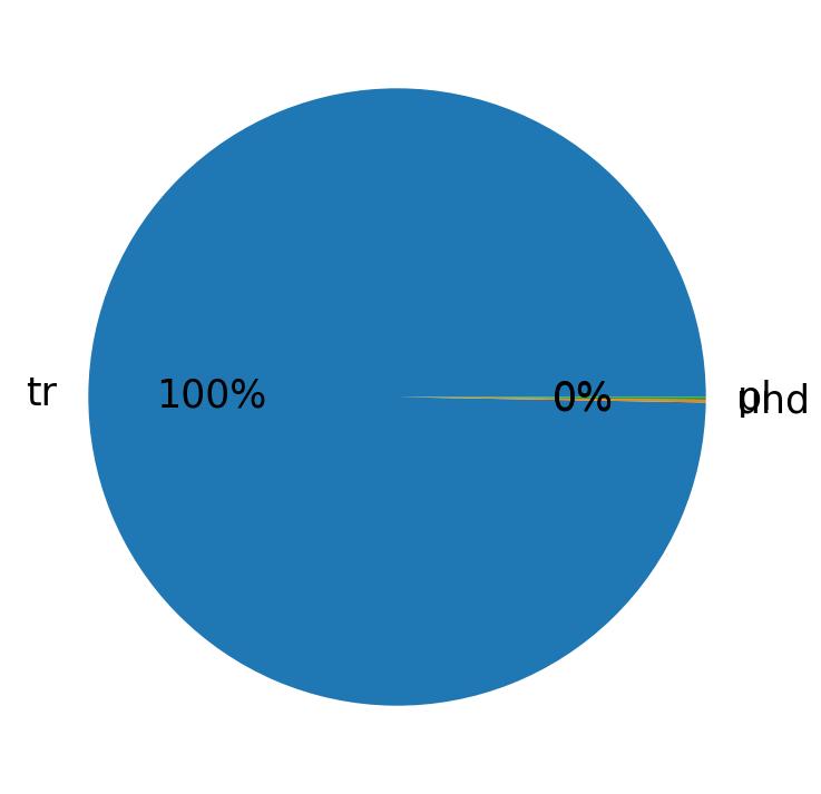 Idiomas utilizados nos tweets