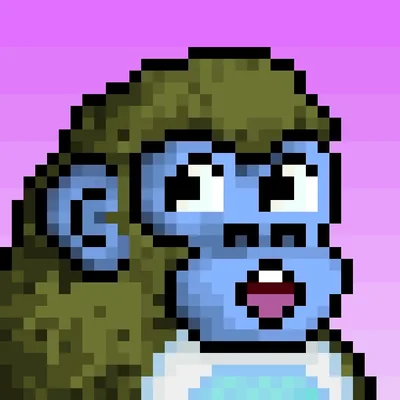 @0xpipi - Twitter Account Stats