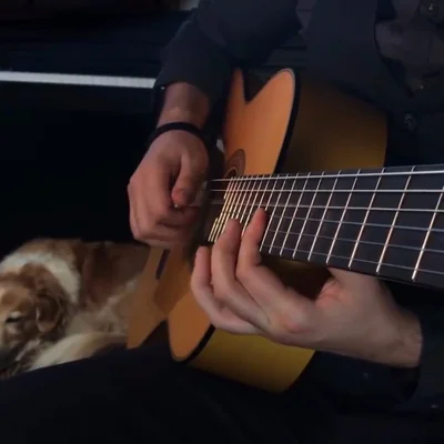 @AcousticTrench - Twitter Account Stats