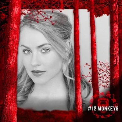 @AmandaSchull - Twitter Account Stats