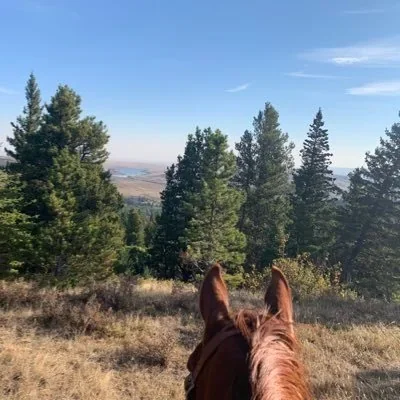 @BradWall306 - Twitter Account Stats