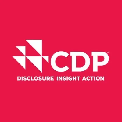 @CDP - Twitter Account Stats