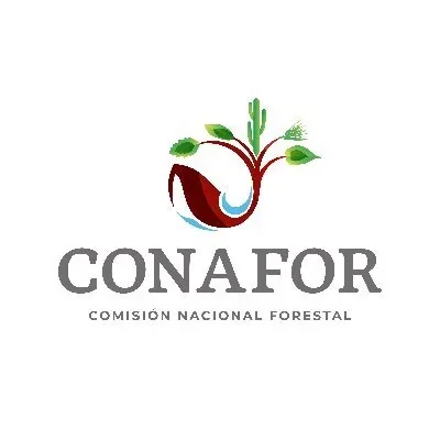 @CONAFOR - Twitter Account Stats