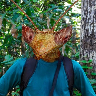César Favacho ~ A natureza de pertinho 🐜🦗🐞🕷️
