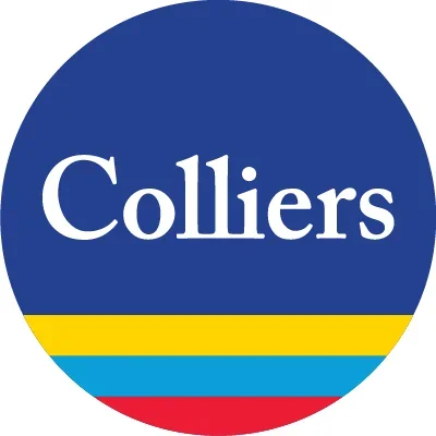 @Colliers - Twitter Account Stats