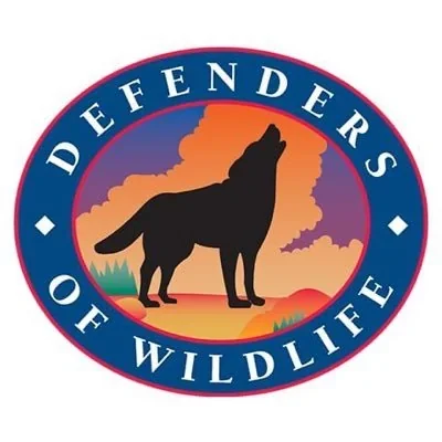 @Defenders - Twitter Account Stats