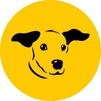 @DogsTrust - Twitter Account Stats