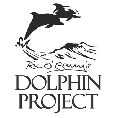 @Dolphin_Project - Twitter Account Stats