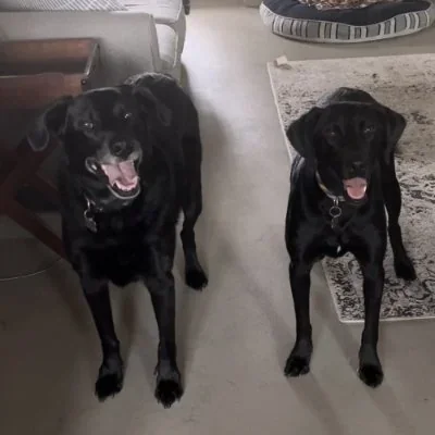 @drjoshwx - Twitter Account Stats