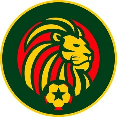 @FootballSenegal - Twitter Account Stats