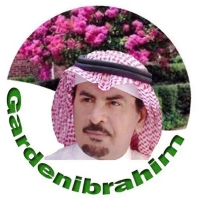 @GardenIbrahim - Twitter Account Stats