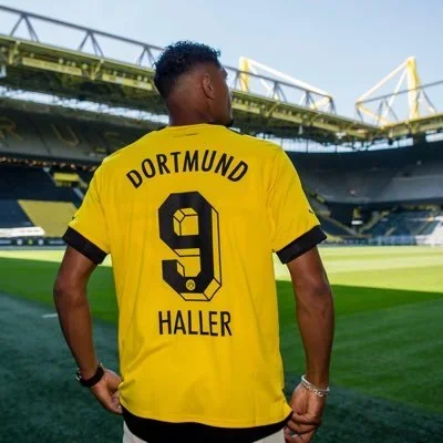 @HallerSeb - Twitter Account Stats