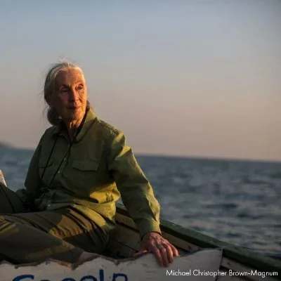 @JaneGoodallInst - Twitter Account Stats