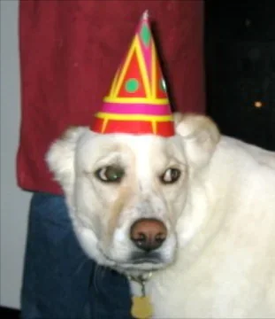 @JonahDispatch - Twitter Account Stats