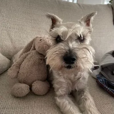 @KatiePhang - Twitter Account Stats