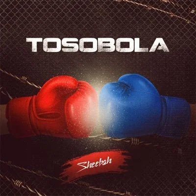 @Ksheebah1 - Twitter Account Stats