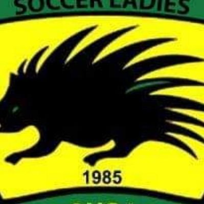 Fabulous Ladies Football Club