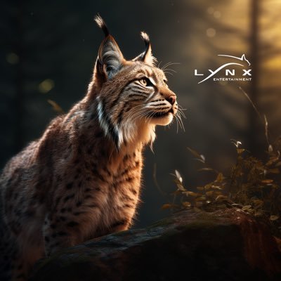 Lynx Entertainment