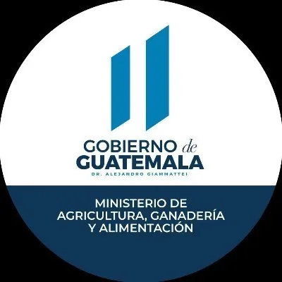 @MagaGuatemala - Twitter Account Stats