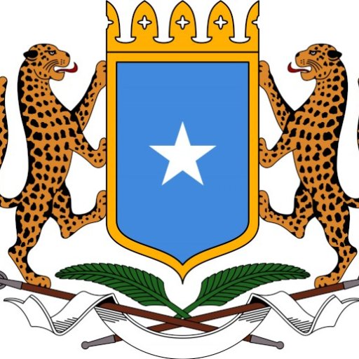 Ministry of Health- Somalia