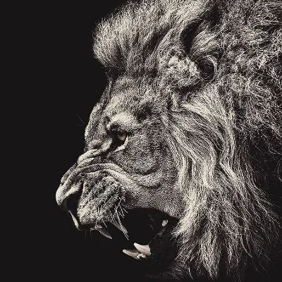 @MrAdamAp - Twitter Account Stats