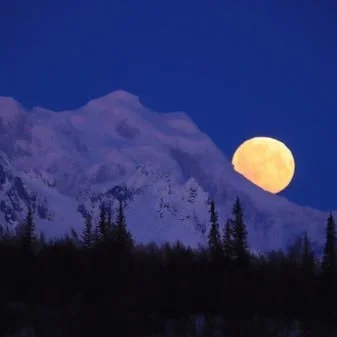 @MrChrisRene - Twitter Account Stats