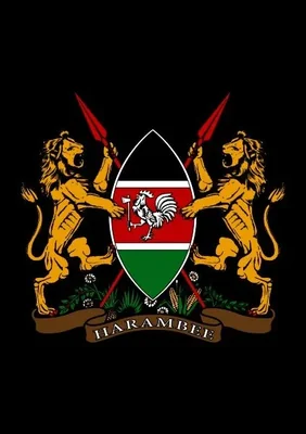 @NDOCKenya - Twitter Account Stats