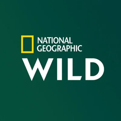@NatGeoWildFr - Twitter Account Stats