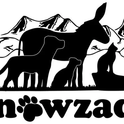 @Nowzad - Twitter Account Stats