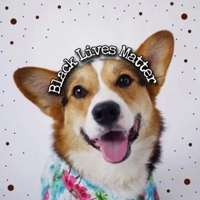 @PAVGOD - Twitter Account Stats