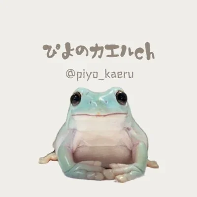 @PIYO_KAERU - Twitter Account Stats