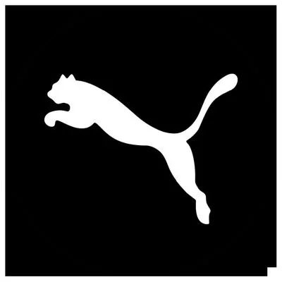 @PUMASouthAfrica - Twitter Account Stats