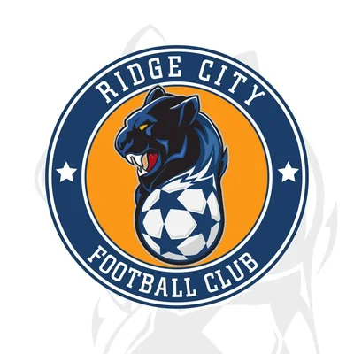 @RidgeCityFC - Twitter Account Stats