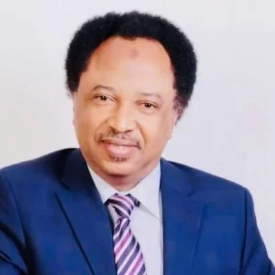 @ShehuSani - Twitter Account Stats