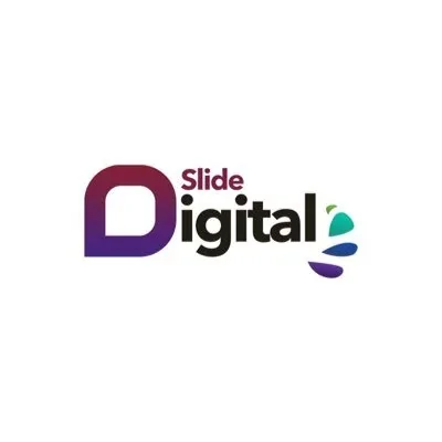 @SlideDigitalTZ - Twitter Account Stats