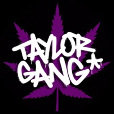 @TaylorGang - Twitter Account Stats