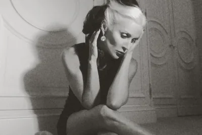 @TheRealDaphne - Twitter Account Stats