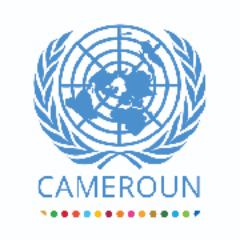 UN_Cameroon