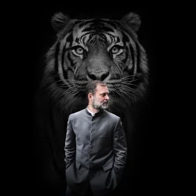 @alimehdi_inc - Twitter Account Stats