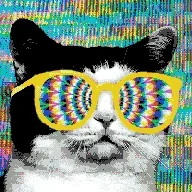 @androolloyd - Twitter Account Stats