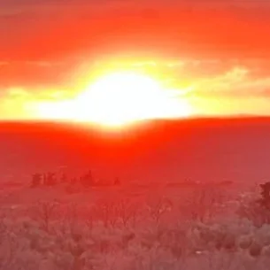 @bencnn - Twitter Account Stats