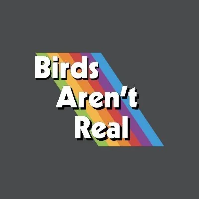 @birdsarentreal - Twitter Account Stats