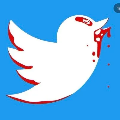 @brunogagliasso - Twitter Account Stats
