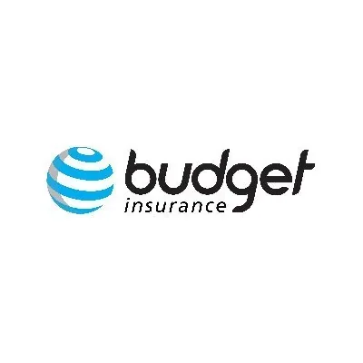 @budgetins - Twitter Account Stats
