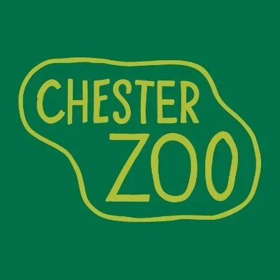 @chesterzoo - Twitter Account Stats