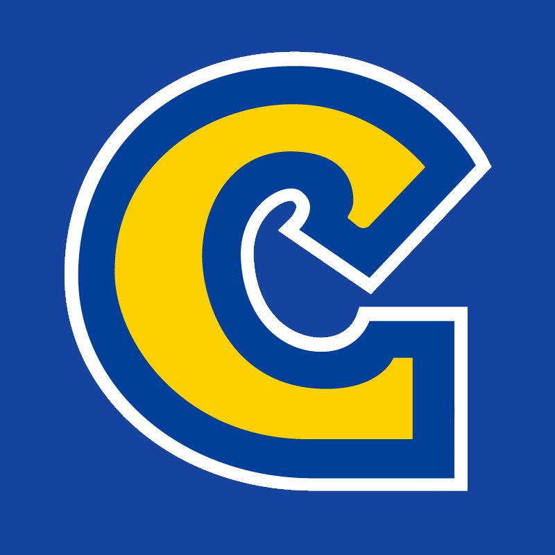 Capcom Dev 1