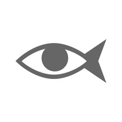 @dexigner - Twitter Account Stats