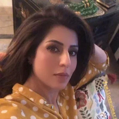 @humaamirshah - Twitter Account Stats